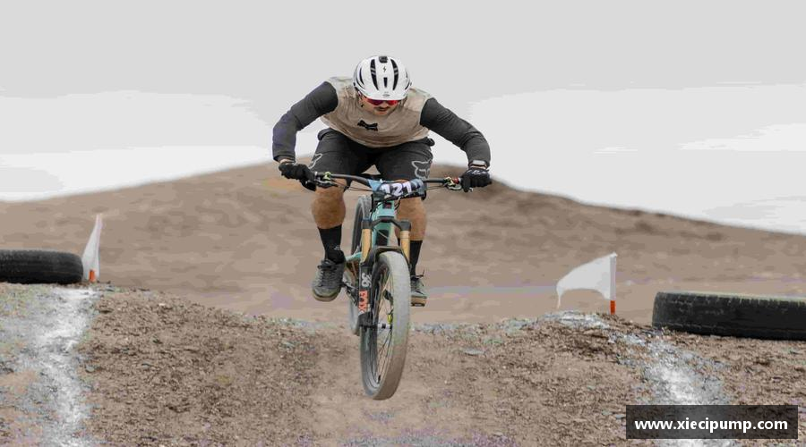 3377平台风雨同舟，共创辉煌！